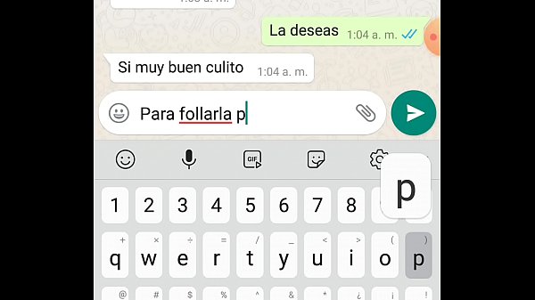 Video De Whatsapp Pinto Pequeno