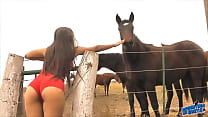 With a horse